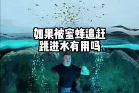 如果被蜜蜂追赶，跳进水里有用吗？ #内容启发搜索 #涨知识 #科学探索视频封面