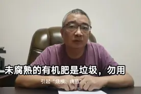 种槟榔，不要用未腐熟的有机肥！#海南诺泽农 #刘华说特肥视频封面