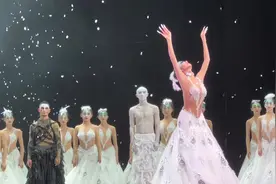 杨丽萍老师的最后亲演《孔雀》 太美了 舞美真的是我见过最美的视频封面