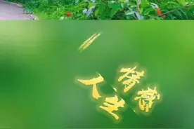 你一定要让男人害怕失去你，他才会更爱你，#情感 #感情 #爱情视频封面