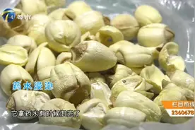 煮不烂的莲子究竟有何猫腻？难道真的被药水浸泡过？视频封面