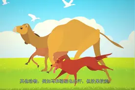 为什么人类长跑能赢过猎豹，狼和马？是演化的力量还是设计？