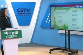 4.10 小学四年级（下） 语文：在天晴了的时候 李秀玲视频封面