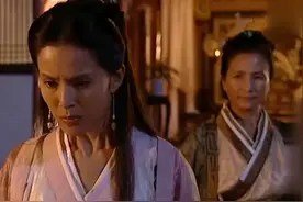 佘老太君用龙头拐杖，大战杨八妹的杨家枪法视频封面
