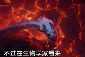 龙是否真的存在？专家在河南发现“第一真龙”，如今证据确凿视频封面