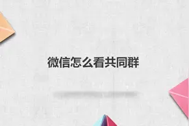 微信怎么看共同群