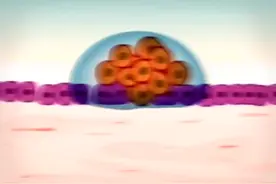 神奇医学动画：癌症是怎样形成的视频封面