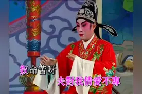 粤剧粤曲：《柳毅传书》之洞房（花好月圆）- 梁耀安  岑海雁视频封面