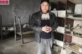 家兔耳螨虫病，传染非常快影响生产，怎么治疗最有效