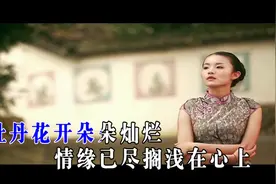 烟雨江南，佳人同行，一把油伞脉脉含情，执伞入杏林，题诗闲花亭视频封面