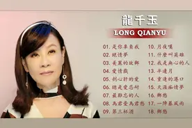 龙千玉18首【闽南情歌】《是你辜负我》《绝情梦》《爱情戏》等