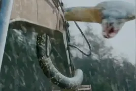 挖掘机战蟒蛇 无情好残忍