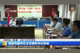 昆明市副市长王冰接听市长热线视频封面