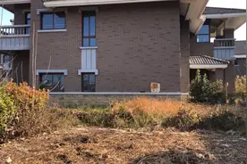 近100栋被荒废的别墅  杂草丛生 无人愿意入住 是怎么回事呢视频封面