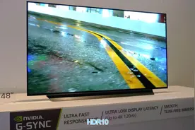 最好电视CES 2020 LG48英寸CX，松下HZ2000视频封面