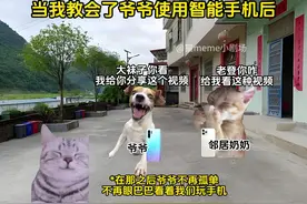 当我教会了爷爷使用智能手机后#猫meme #猫meme小剧场视频封面