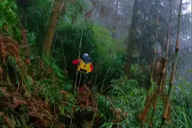 迷魂凼里究竟是怎样的场景？难道这里真是道家布下的迷阵视频封面