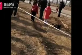 痛心！6岁男童玩耍时坠入冰窟，救起时已遇难图片