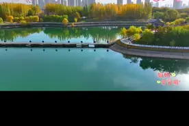 母亲悉心照料，如阳光滋养生命不不息，无私奉献不求报，母爱伟大图片
